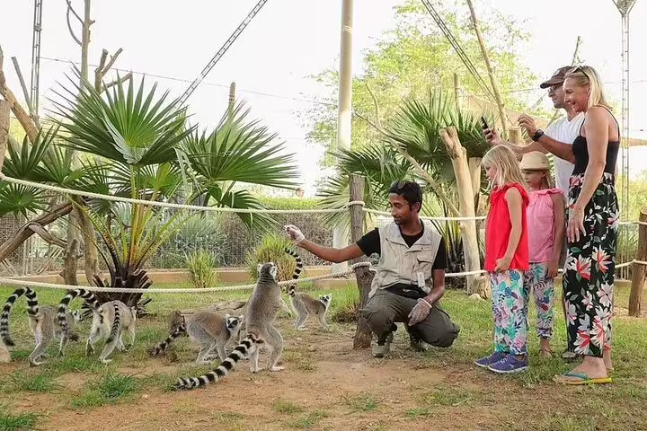 Family enjoys interactive lemur feeding experience with guide at Al Ain Zoo, surrounded by lush greenery.