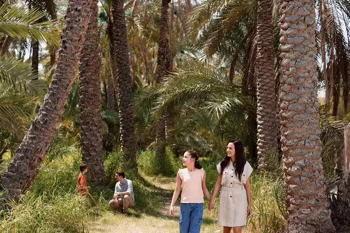 Family enjoying a serene walk through lush palm groves in Al Ain on a private garden city tour.