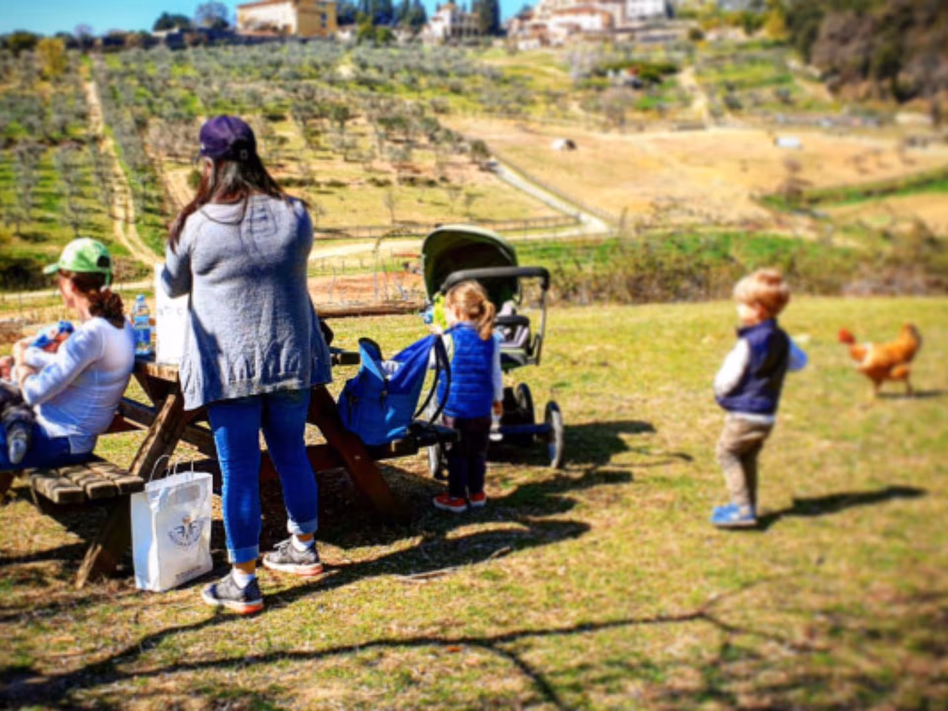 Family enjoying a sunny picnic with children and chickens in a scenic vineyard setting near Florence.