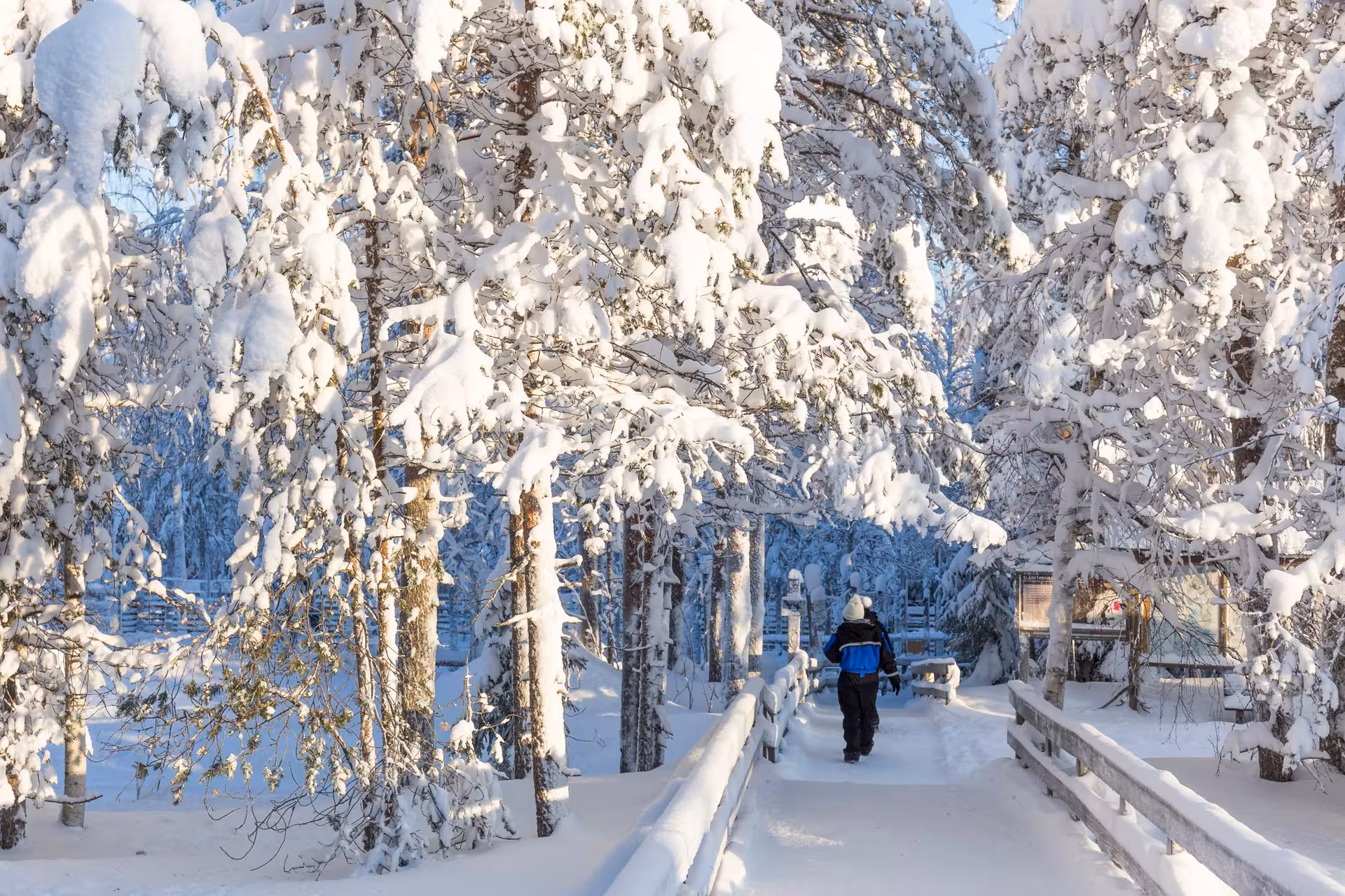 A family enjoys a snowy walk through the picturesque winter landscape of Ranua Wildlife Park in Finland.