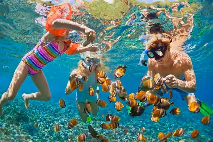 Family snorkeling in Marsa Alam Red Sea with colorful reef fish on a full-day private swim with turtles tour
