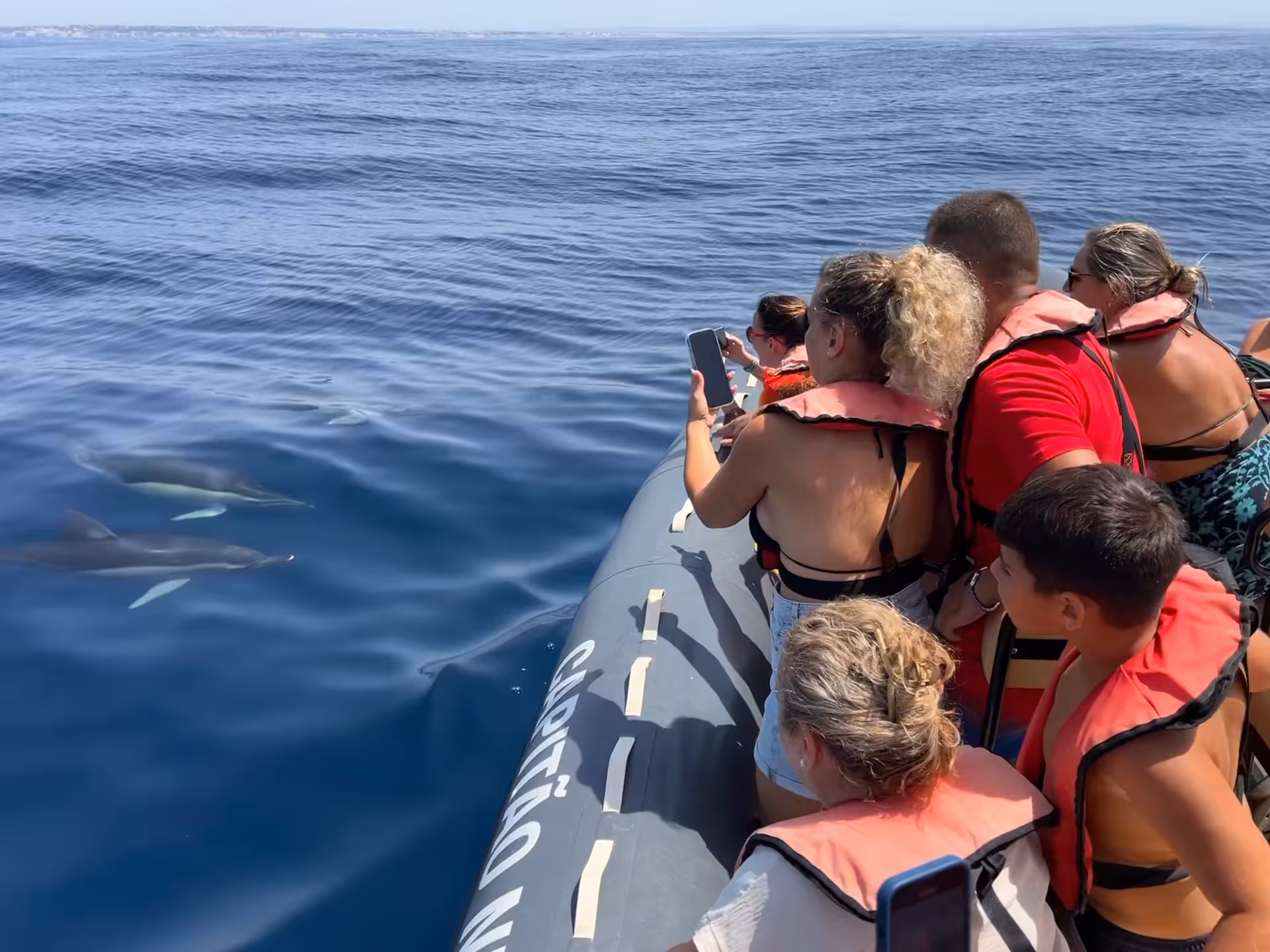 Family on RIB boat watching playful wild dolphins up close on EXPEDITION Dolphins & Marine Wildlife tour