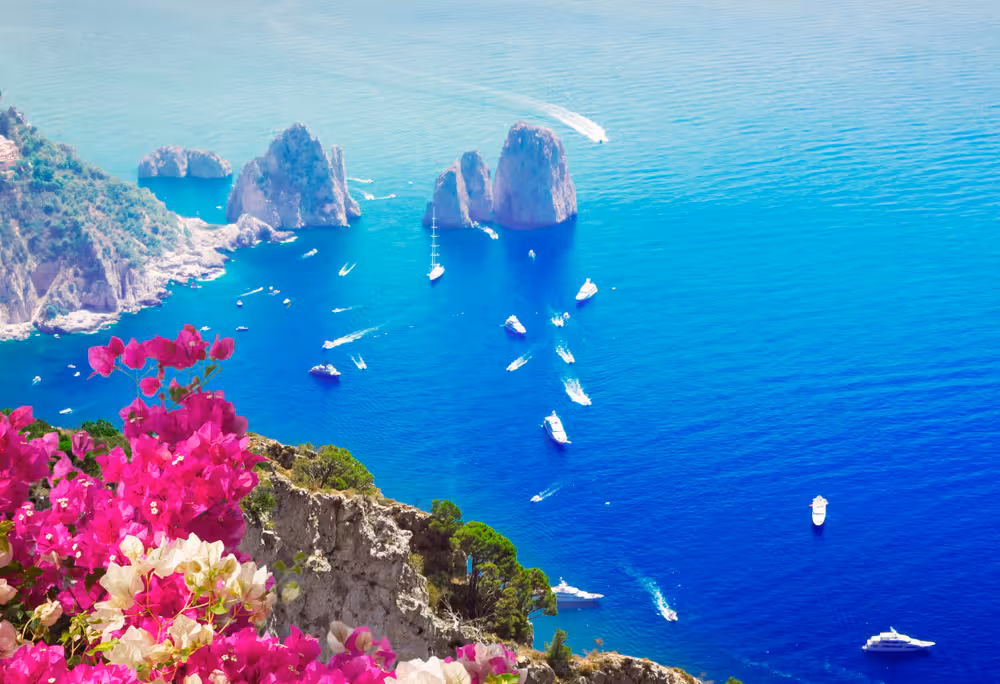 Bright pink flowers frame the stunning Faraglioni rock formations on a scenic boat tour from Sorrento Coast.