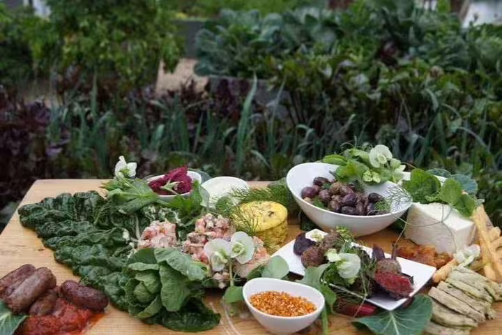 Farm-to-table breakfast spread with fresh greens, olives and local cheeses at Green Farm in Egypt