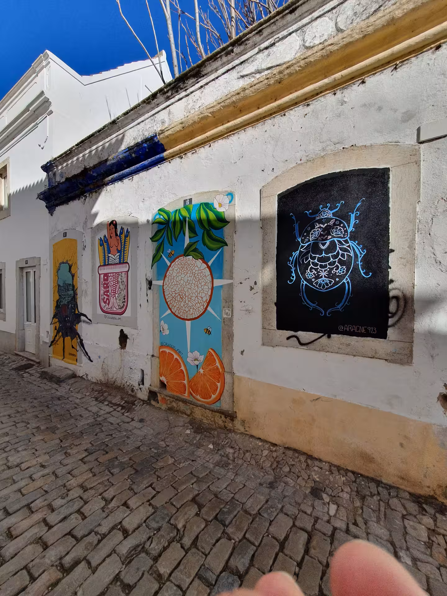 Vibrant street art on cobblestone alley in Faro, showcasing local creativity and culture on Algarve walking tour.