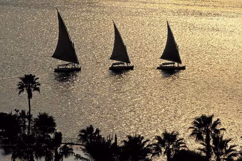 Traditional felucca sailboats cruising the Nile in Cairo at sunset, perfect for scenic lunch cruise tour