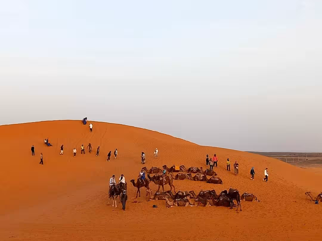 Tourists and camels on the dunes of Merzouga at sunset during a 4-day Fes to Errachdia desert tour.