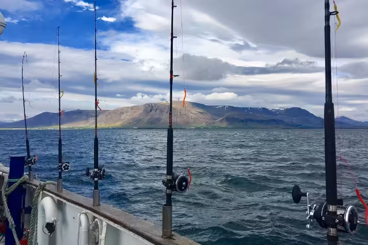 Multiple fishing rods mounted on a boat railing in Faxafloi Bay with mountain backdrop, Iceland