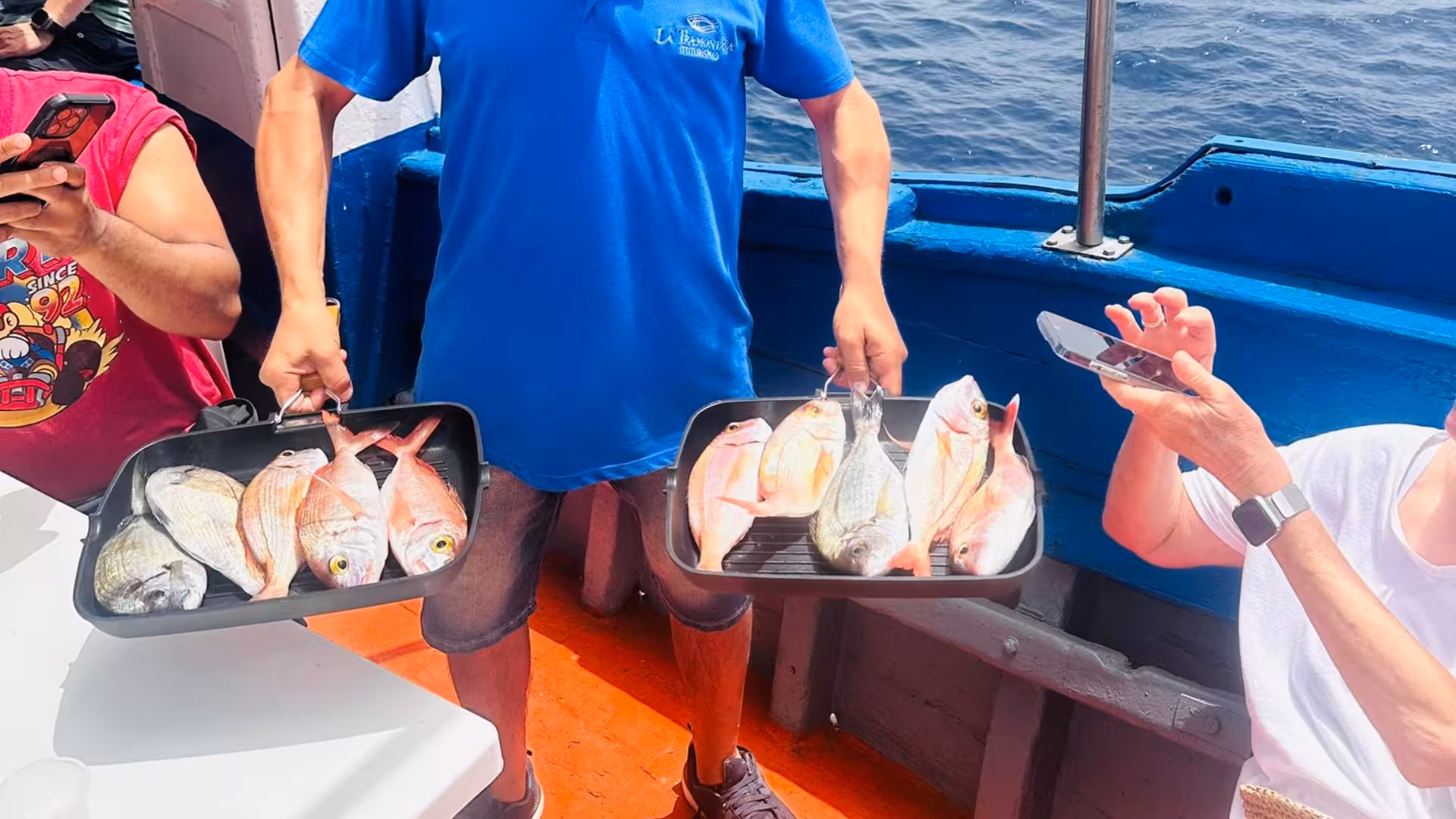 Tour participants photographing freshly caught fish on a fishing boat in the Egadi Islands.