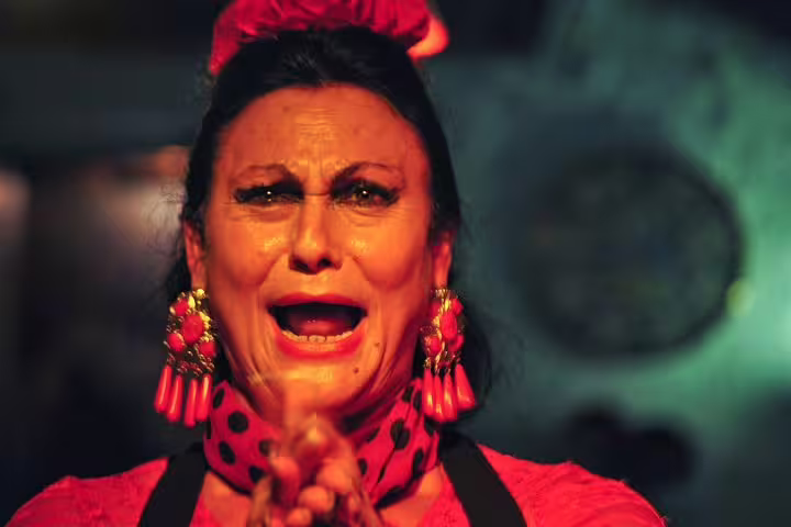 A passionate flamenco dancer performs with vibrant emotion during a private tapas and wine tour in Barcelona.