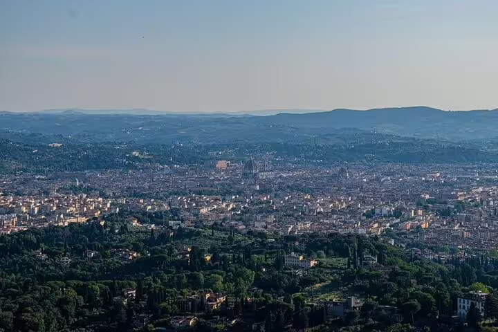 Aerial view of Florence's historic skyline showcasing iconic landmarks and lush surroundings, perfect for a 4-hour guided tour.