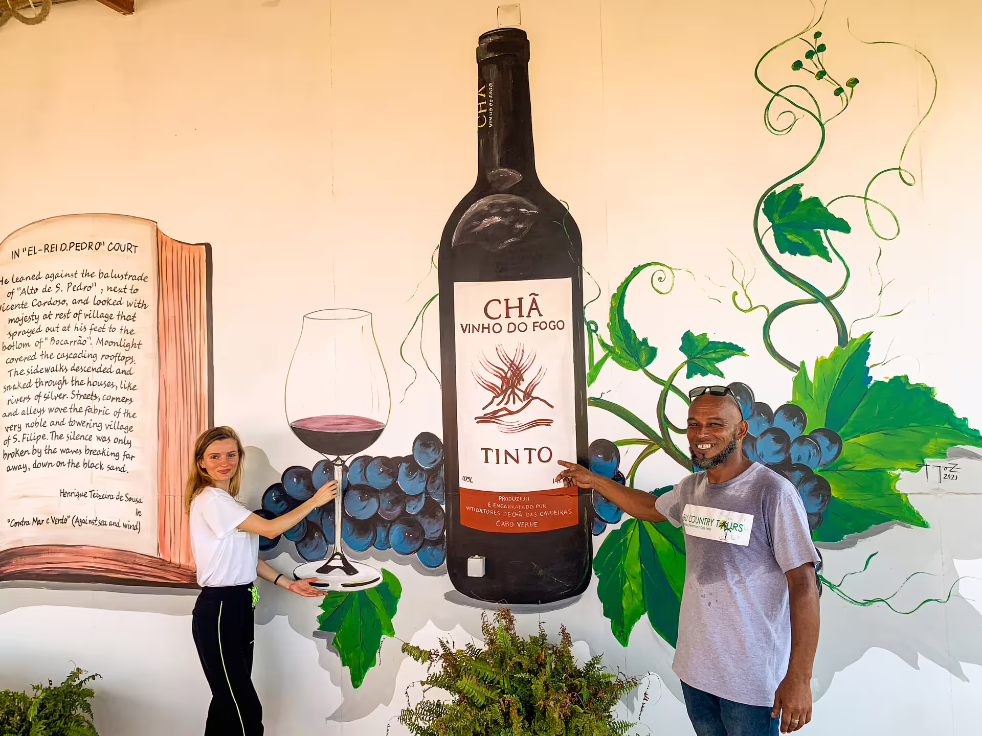 Colorful mural of Fogo Island wine and grapes, highlighting local wine culture on the full-day private island experience.