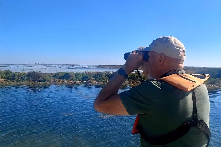 Guide in life jacket watching wildlife through binoculars on Ria Formosa boat tour lagoon
