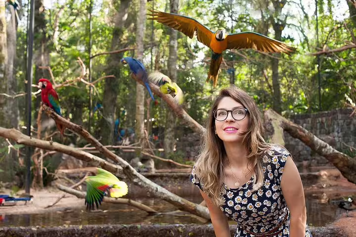 A woman enjoying vibrant macaws in a lush forest setting during a private tour of Foz do Iguaçu.
