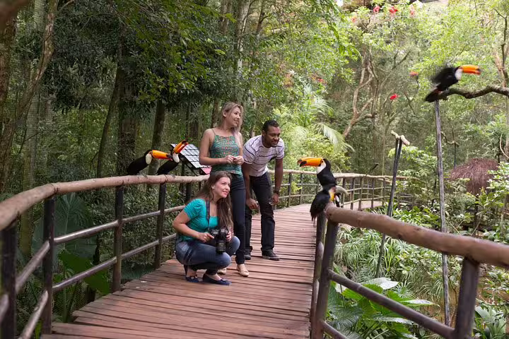 Tourists observing toucans on a wooden walkway surrounded by tropical greenery in Foz do Iguaçu.