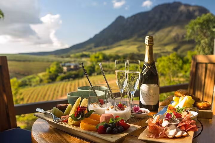 Gourmet picnic with wine and cheese overlooking vineyards on the Franschhoek Wine Tram tour from Cape Town.