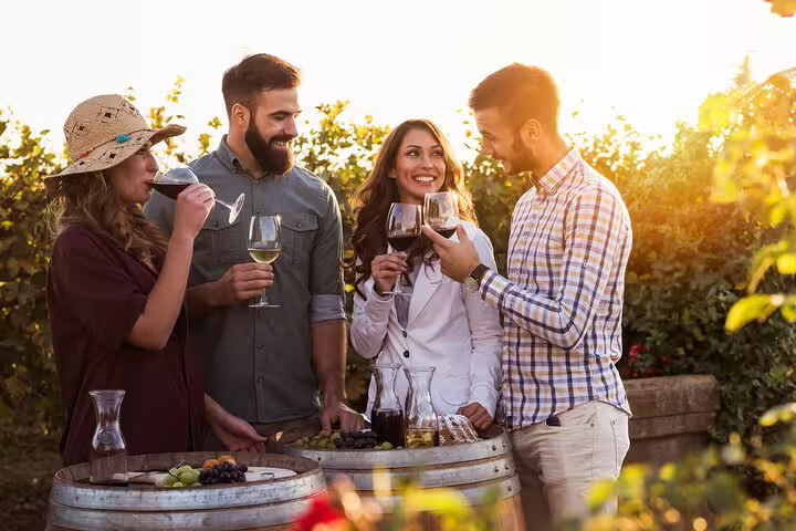 A group of friends enjoying wine tasting outdoors in a vineyard at sunset, highlighting a vibrant social atmosphere.