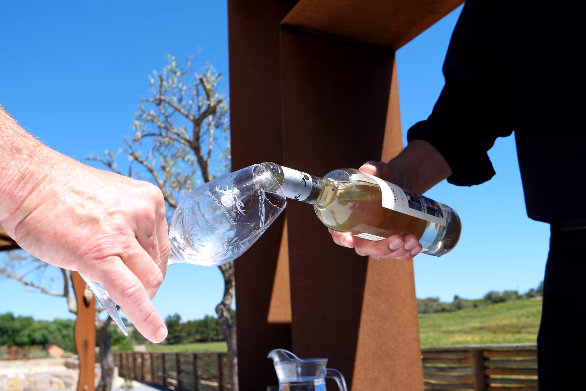Sommelier pouring white wine into a branded glass outdoors during a free-flow guided wine tasting tour experience