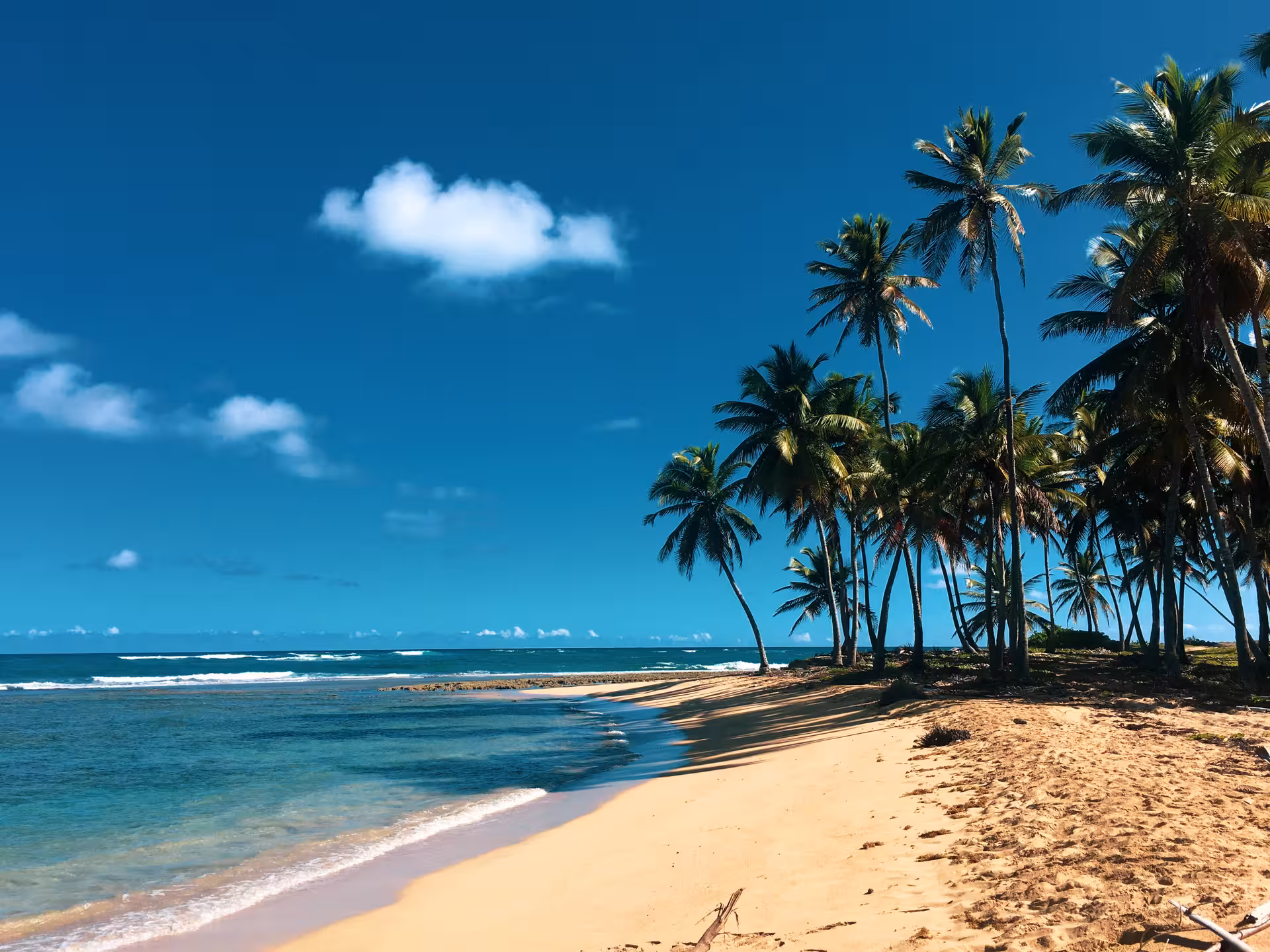 Coucher de soleil sur l’océan sous palmiers, panorama tropical inclus dans le Forfait liberté 11j/10n