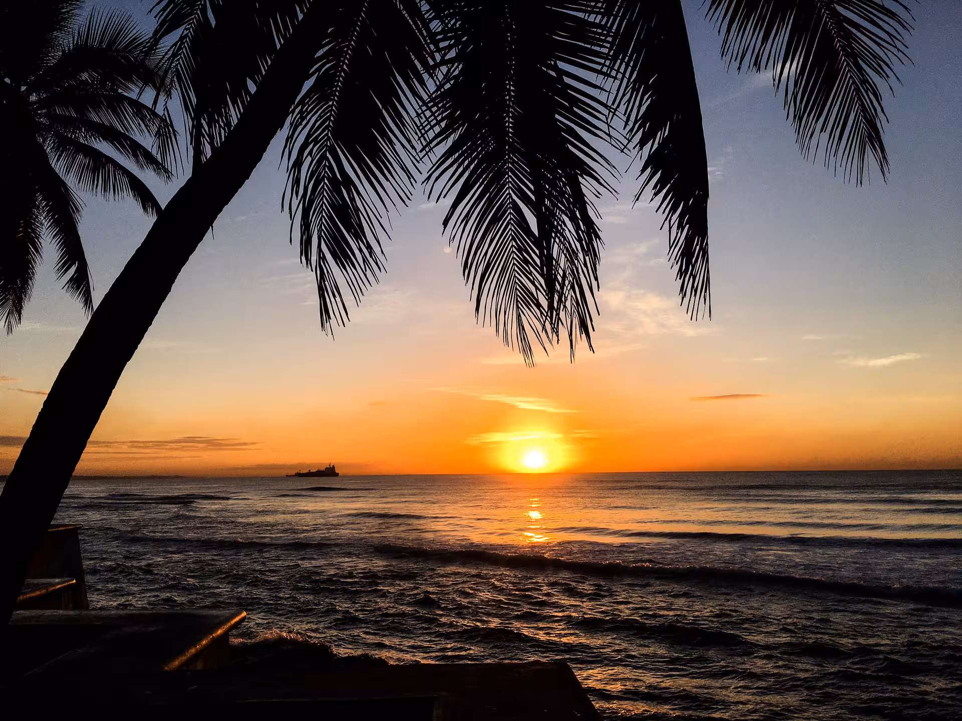 Coucher de soleil sur l’océan sous palmiers, panorama tropical inclus dans le Forfait liberté 11j/10n