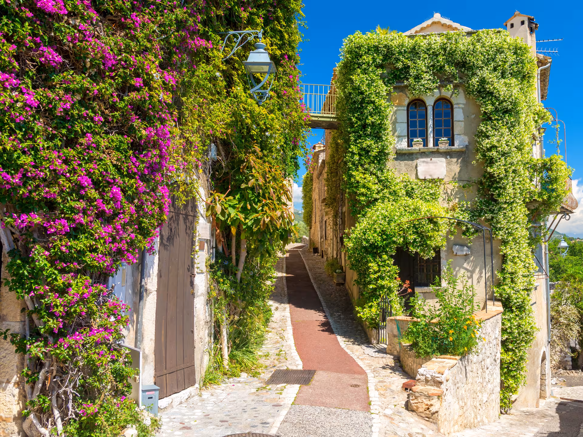 Ivy-covered stone buildings and bougainvillea lining a narrow cobblestone lane on the French Riviera