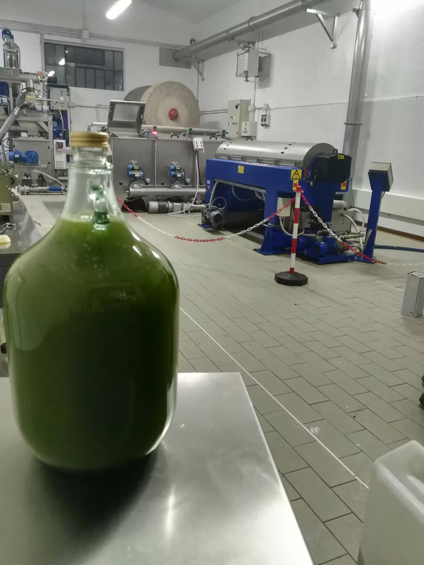 Bottle of fresh green olive oil inside an Abruzzo frantoio, showcasing cold extraction on the tasting tour