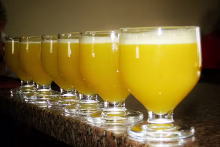 Six glasses of freshly squeezed orange juice lined up on a table, highlighting the vibrant local produce of Funchal's farmers market.