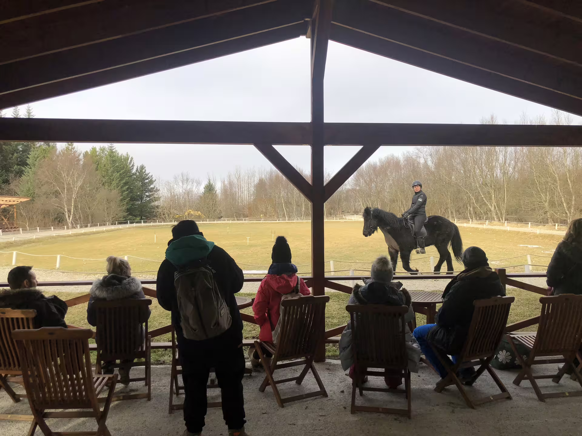 Visitors watching a rider on a black horse at Fridheimar Farm equestrian arena in Iceland