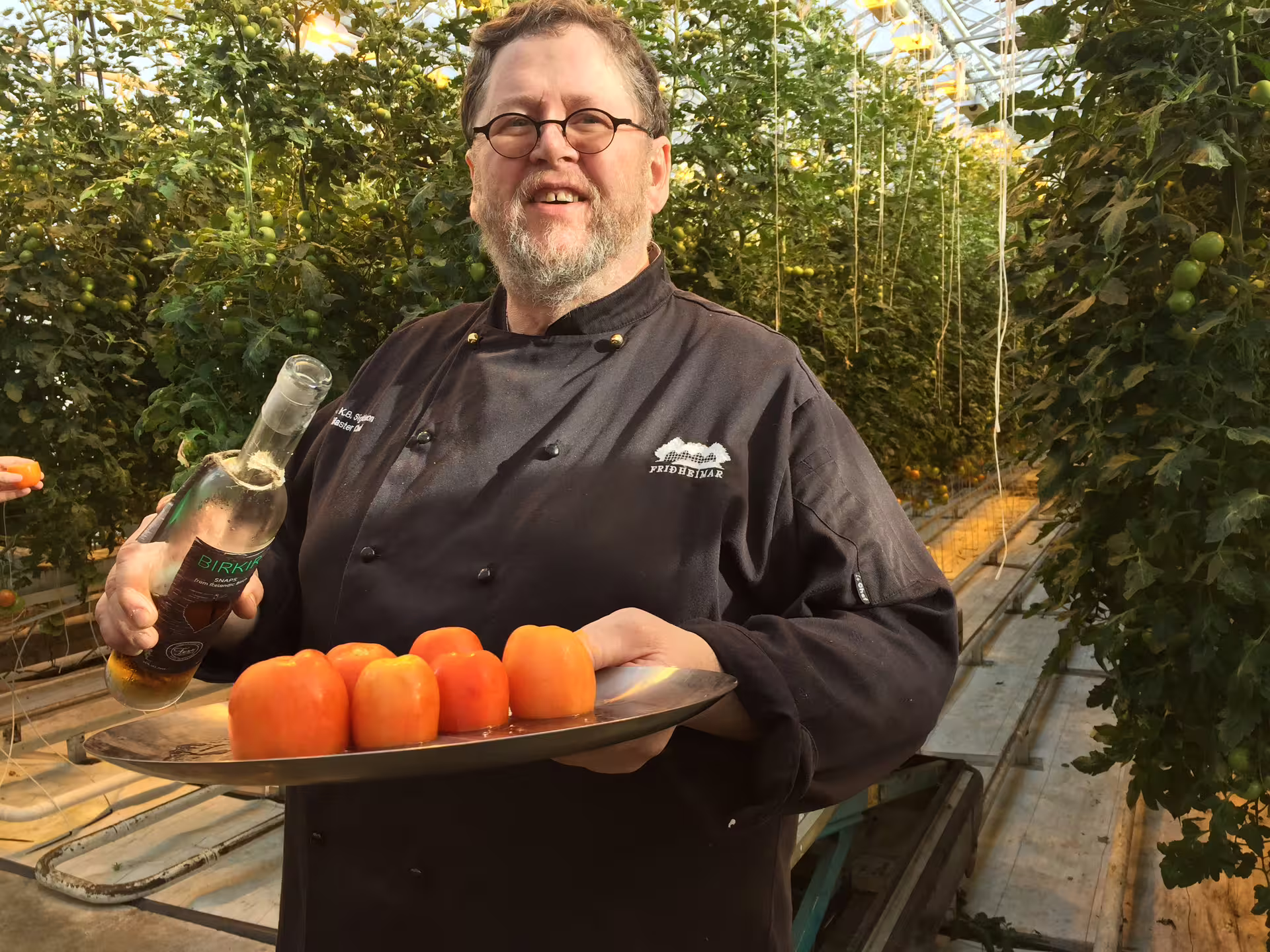 Tasting fresh tomatoes at Friðheimar greenhouse