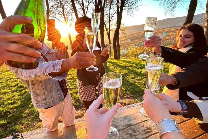 Friends toasting Champagne outdoors in Reims vineyards at sunset on a Champagne day trip from Paris