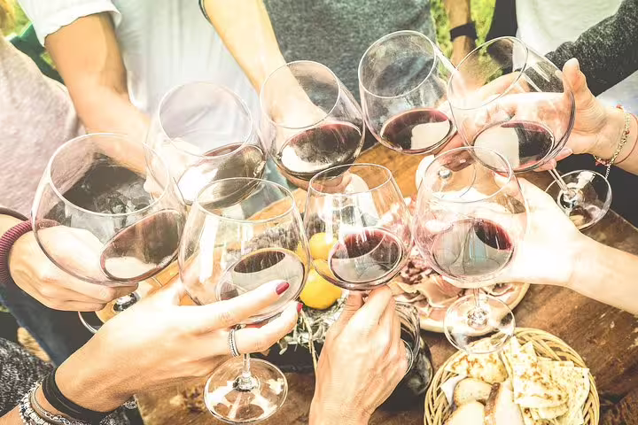 Friends clink red wine glasses during Loire Valley wine tasting tour, paired with local snacks and lunch