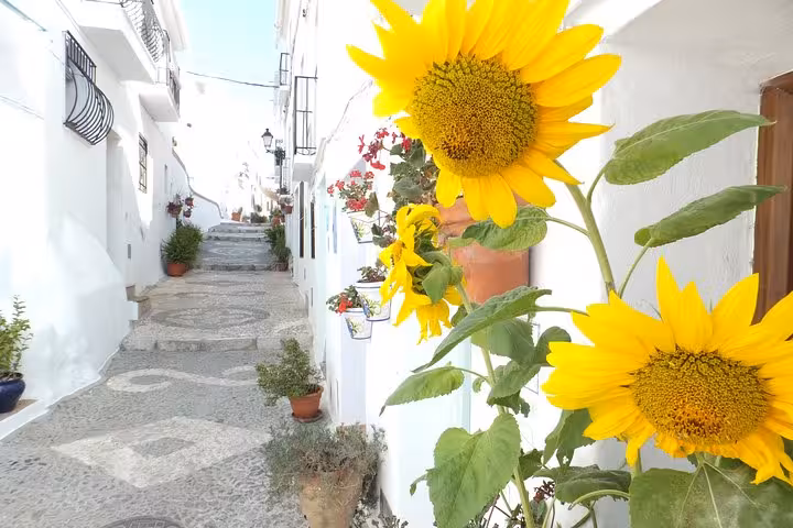 Charming Frigiliana street with vibrant sunflowers and traditional whitewashed houses on the Málaga tour.