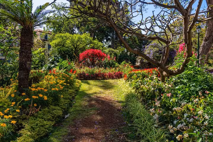 Lush garden path with colorful flowers and tropical trees in Funchal, Madeira