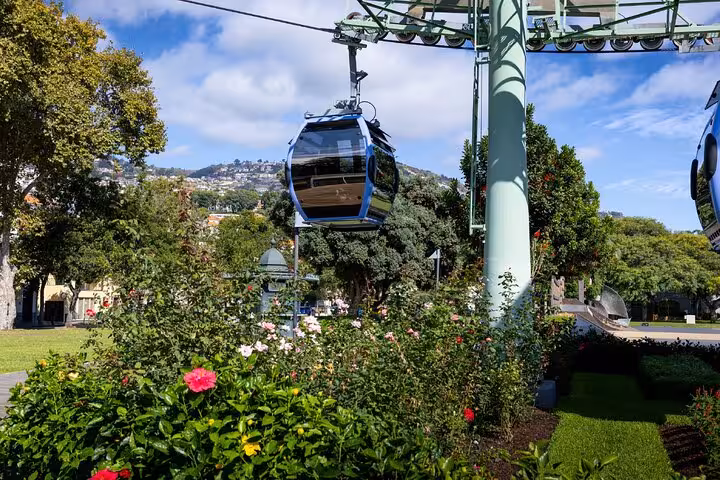 Cable car gondola gliding over colorful flower gardens in Funchal, Madeira, with hillside town in background