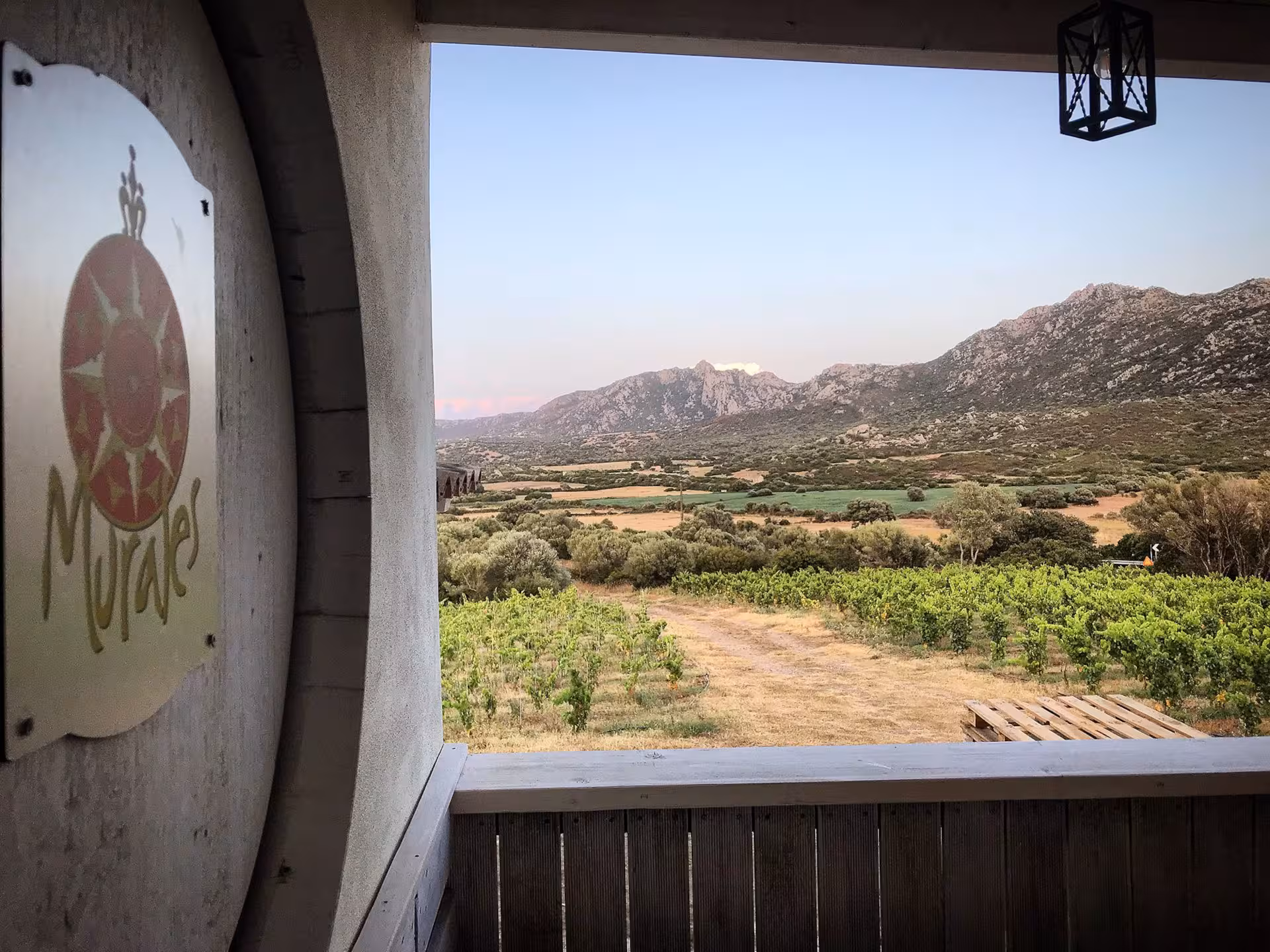 Scenic view of Gallura vineyard from winery, offering breathtaking landscape of Sardinian wine region.