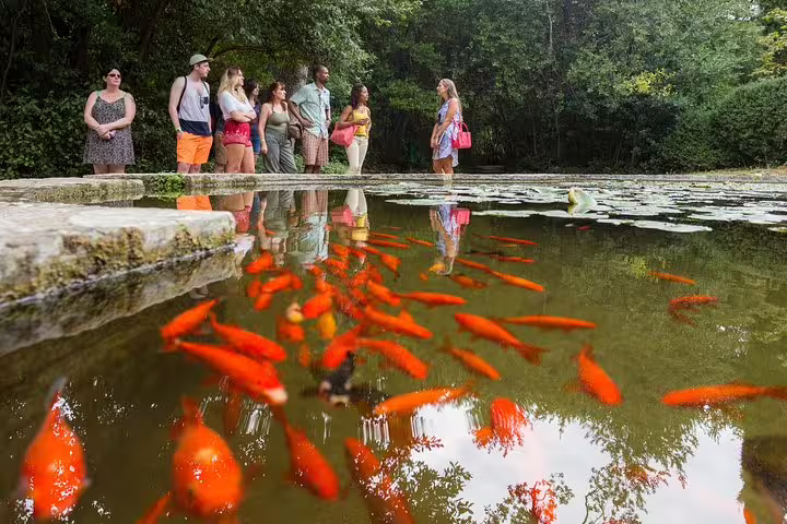 Tour group by Trsteno Arboretum pond with koi fish, guided Game of Thrones experience group tour near Dubrovnik