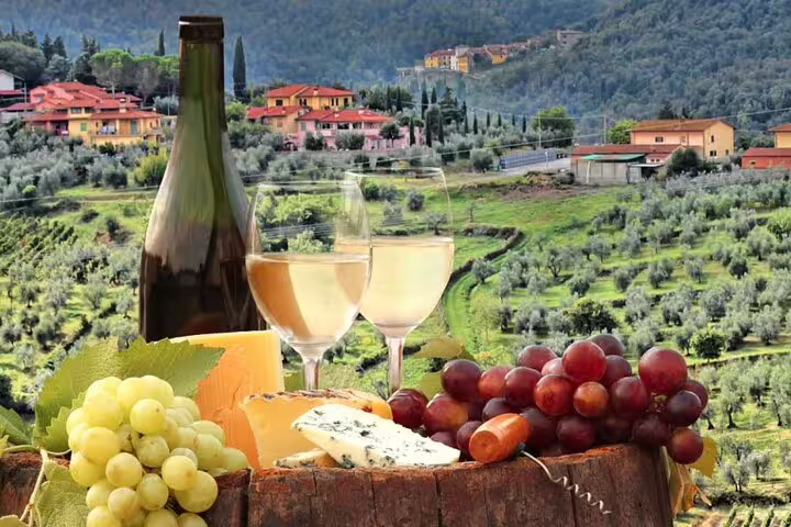 Wine, cheese, and grapes set against a scenic vineyard landscape on the African Garden Route.