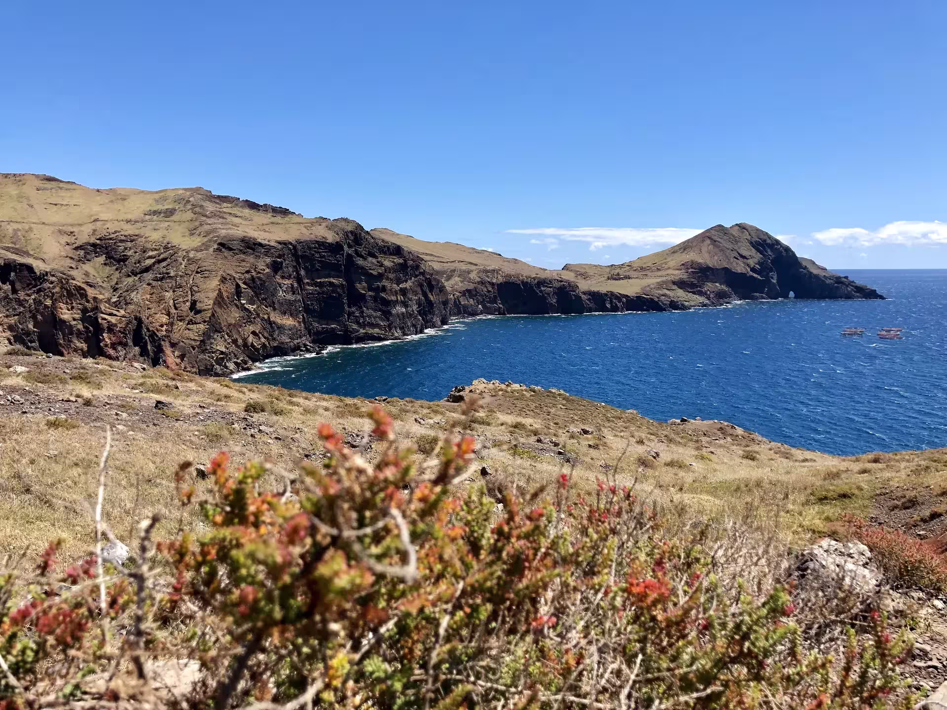 Breathtaking coastal cliffs and vibrant flora along The Geological Hike, ideal for adventure seekers.