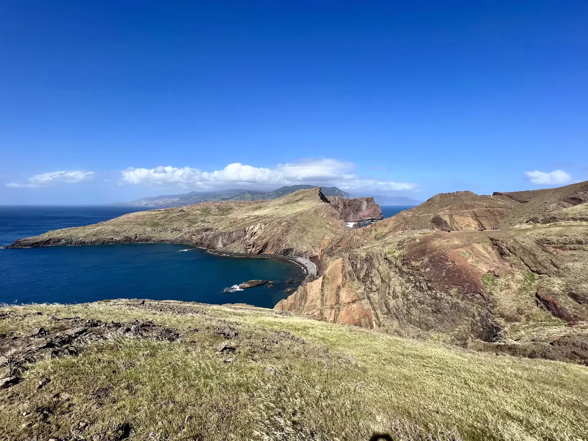 Expansive view of rocky coastline and deep blue sea under a clear sky on The Geological Hike trail.