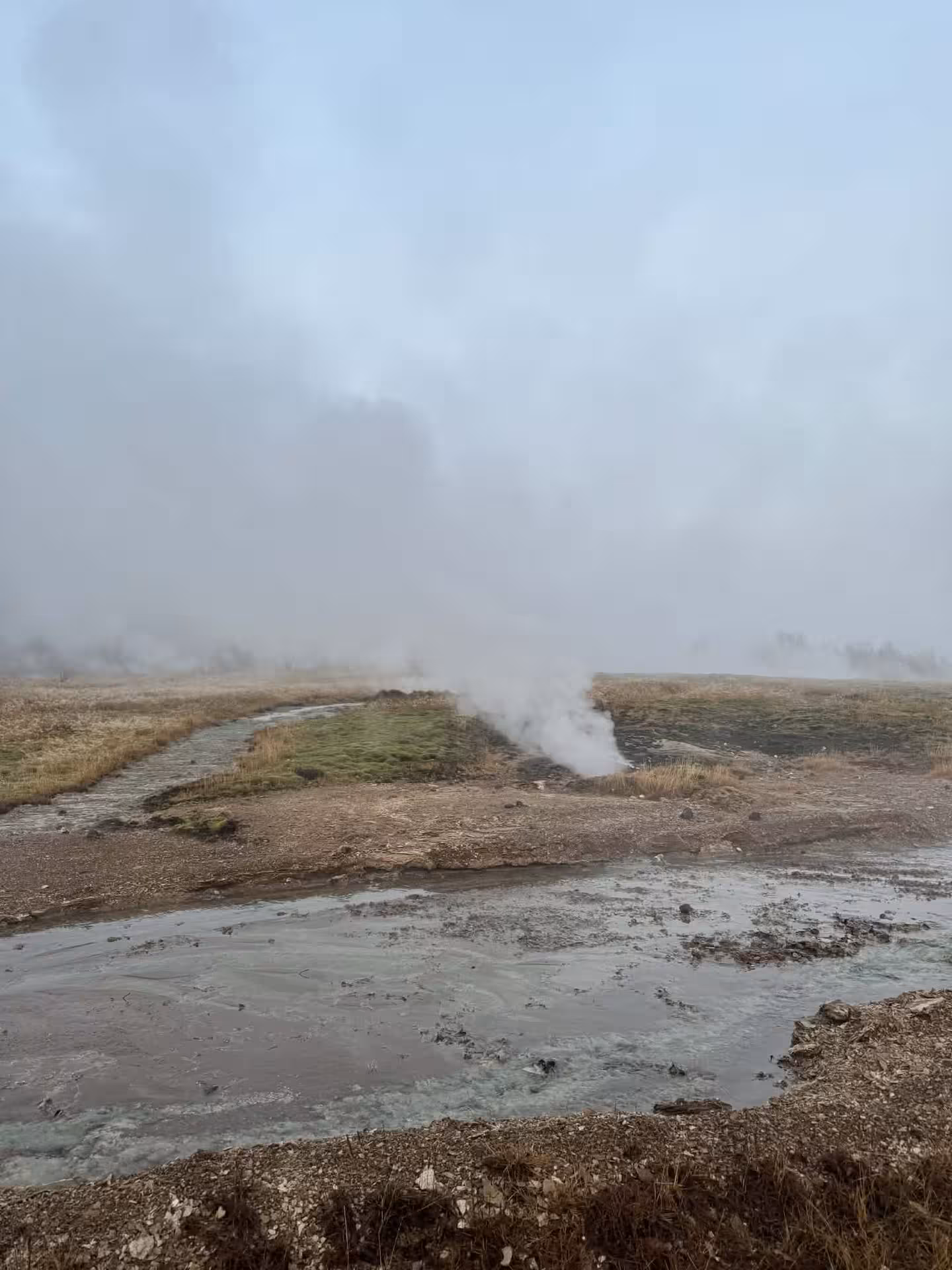 Steaming geothermal vents and bubbling mud pools in Haukadalur on Grand Golden Circle tour from Reykjavik