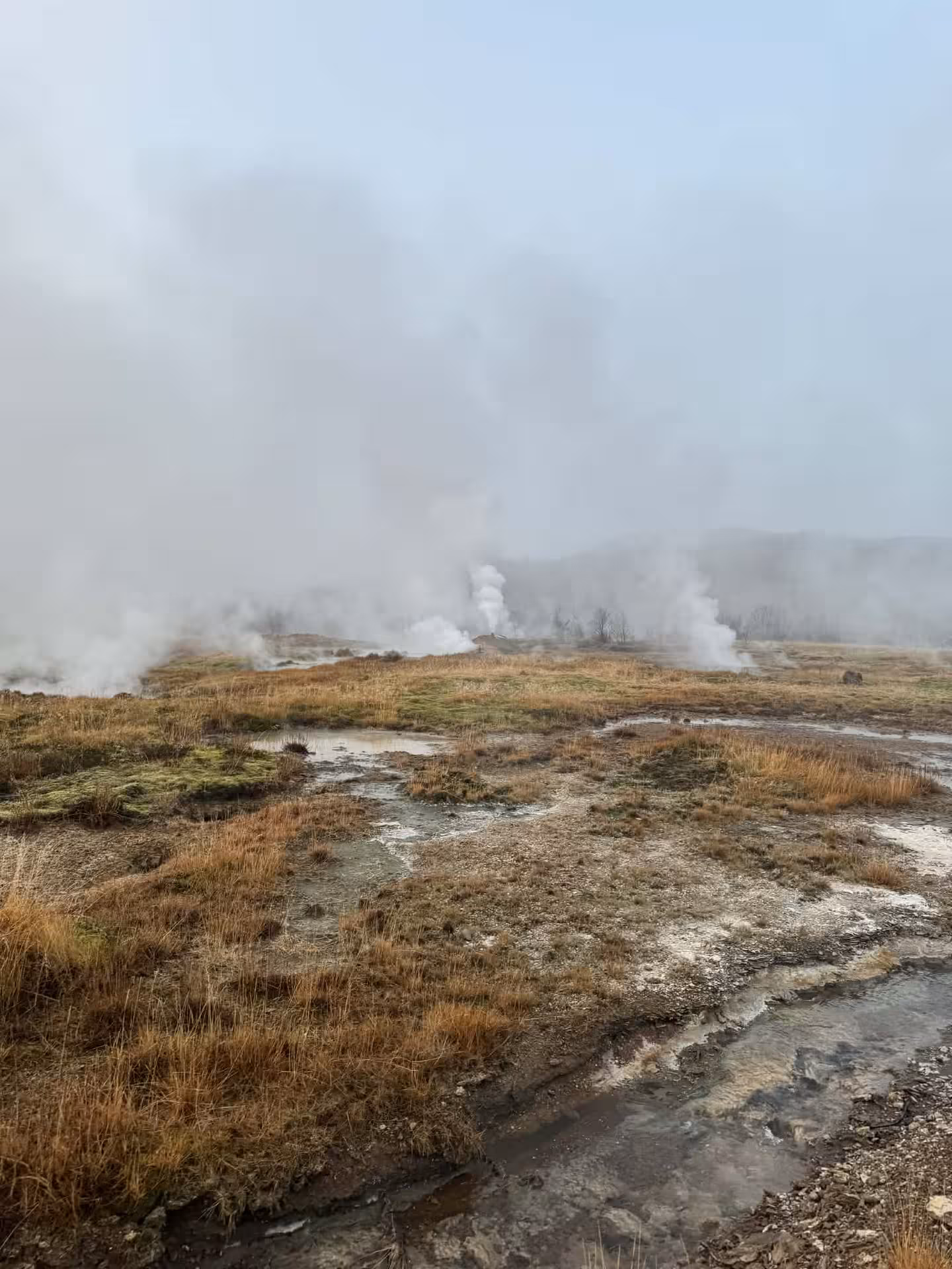 Steaming geothermal vents at Geysir area on Grand Golden Circle tour from Reykjavik, Iceland landscape