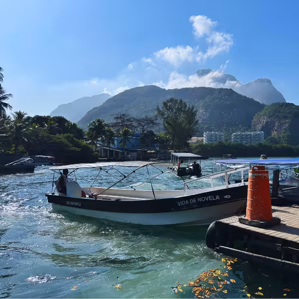 Scenic boat ride on Gigóia Island surrounded by lush greenery and mountains, perfect for Rio's Pantanal private tour.