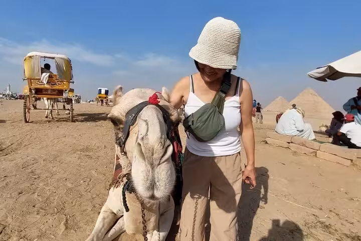 All-inclusive private trip from Cairo Airport to Giza Pyramids with visitor petting camel and desert view