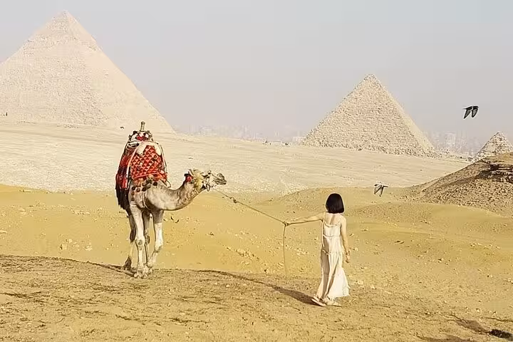 Camel walk in the Giza desert with pyramids view on a private trip including quad adventure, tickets and lunch