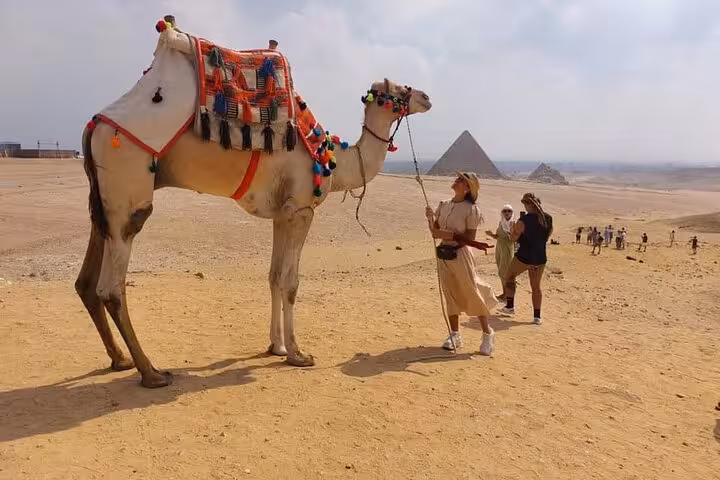 Decorated camel and travelers at the Giza Pyramids, Cairo desert stop on a camel ride tour experience