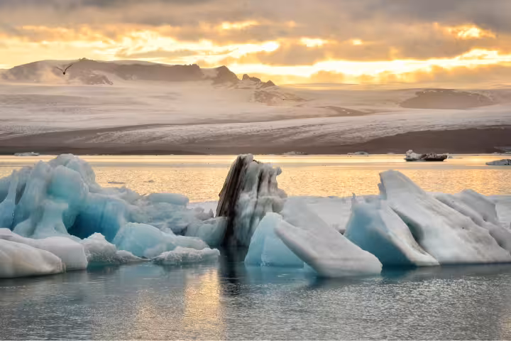 Blue icebergs floating in Jokulsarlon Glacier Lagoon at golden sunset, Iceland