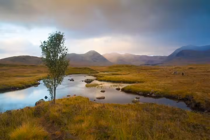 Quiet Highland loch with lone tree and distant mountains, peaceful landscape on Glencoe and Highlands Adventure