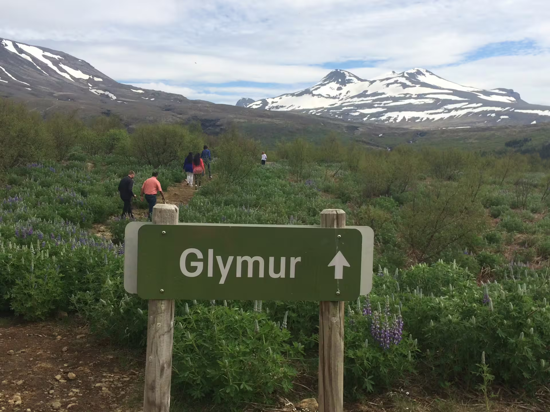 Glymur trail sign with hikers walking through lupine fields toward snow-capped mountains in Iceland