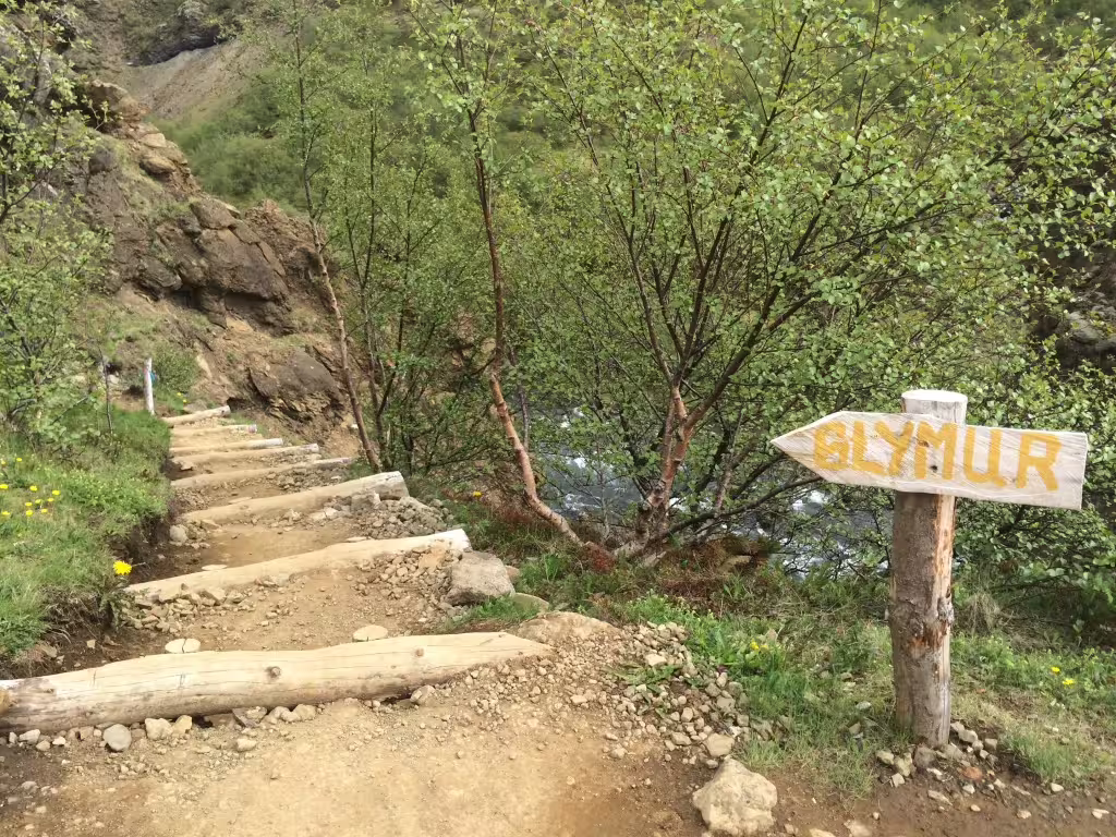 Wooden trail sign pointing to Glymur waterfall hike with log-edged dirt steps and lush green trees