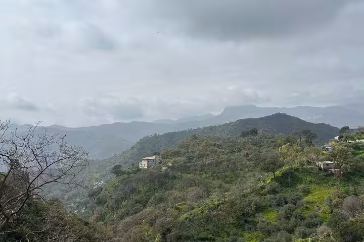 Picturesque Sicilian landscape with rolling hills and scattered homes, offering a serene view ideal for Godfather tours.